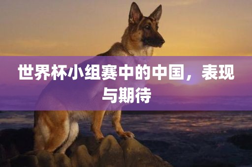 眉山市正发家政服务有限公司世界杯小组赛中的中国，表现与期待