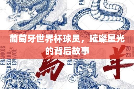 葡萄牙世界杯球员，璀璨星光的背后故事
