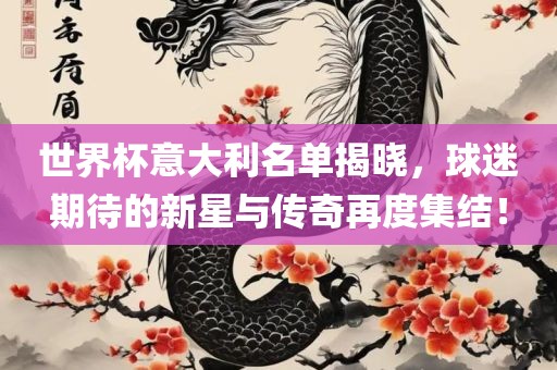 世界杯意大利名单揭晓，球迷期待的新星与传奇再度集结！