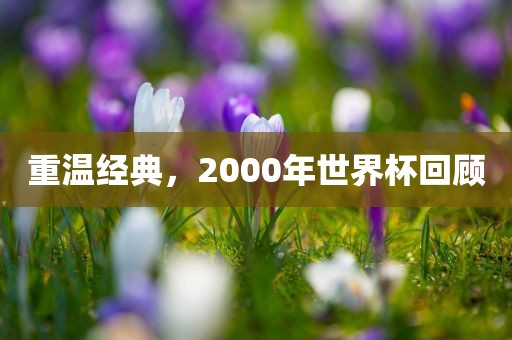重温经典，2000年世界杯回顾