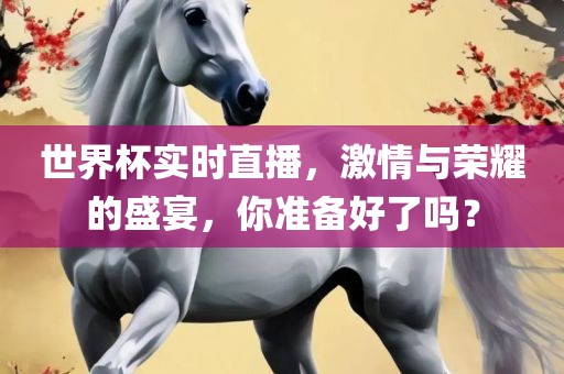 世界杯实时直播，激情与荣耀的盛宴，你准备好了吗？