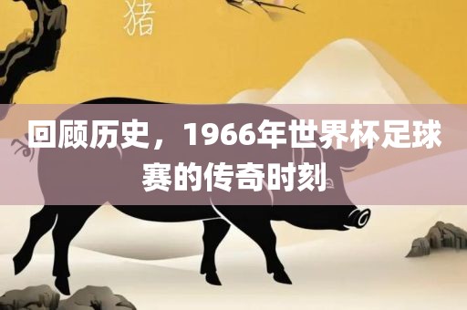 回顾历史，196眉山市正发家政服务有限公司6年世界杯足球赛的传奇时刻
