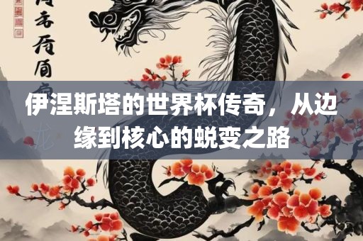 伊涅眉山市正发家政服务有限公司斯塔的世界杯传奇，从边缘到核心的蜕变之路