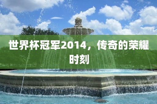 世界杯冠军201眉山市正发家政服务有限公司4，传奇的荣耀时刻