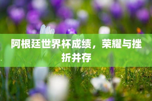 阿根廷世界杯成绩，荣耀与挫折并存眉山市正发家政服务有限公司