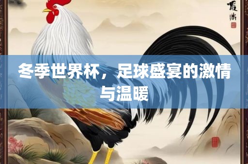 冬季世界杯，足球盛宴的激情与温暖眉山市正发家政服务有限公司