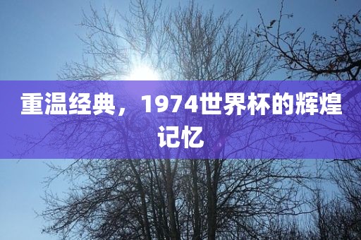 重温经典，1974世界杯的辉煌记眉山市正发家政服务有限公司忆