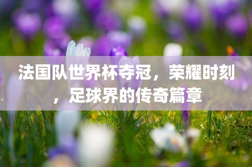 法国队世界杯夺冠，荣耀时刻，足球界的传奇篇章