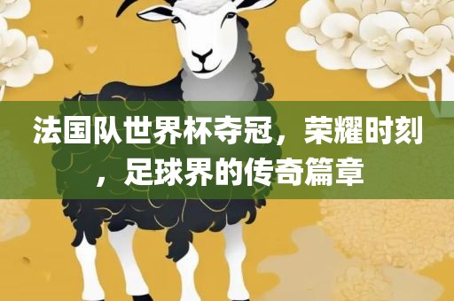 法国队世界杯夺冠，荣耀时刻，足球界的传奇篇章