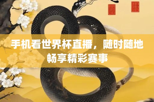 手机看世界杯直播，随时随地畅享精彩赛事眉山市正发家政服务有限公司