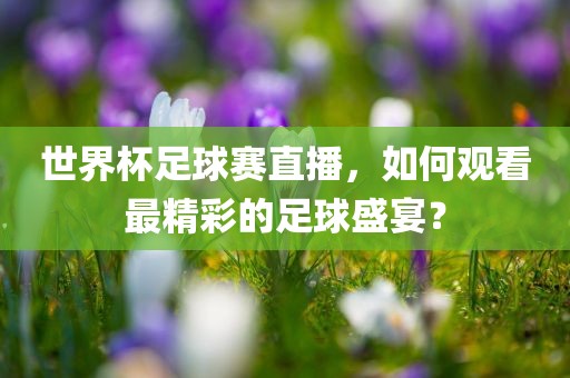 世界杯足球赛直播，如何观看最精彩的足球盛宴？