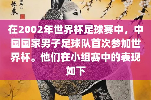 在2002年世界杯足球赛中，中国国家男子足球队首次参加世界杯。他们在小组赛中的表现如下