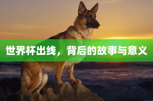 世界杯出线，背后的故事与意义
