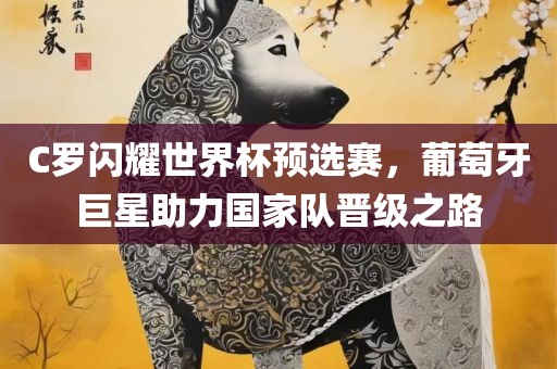 C罗闪耀世界杯预选赛，葡萄牙巨星助力国家眉山市正发家政服务有限公司队晋级之路