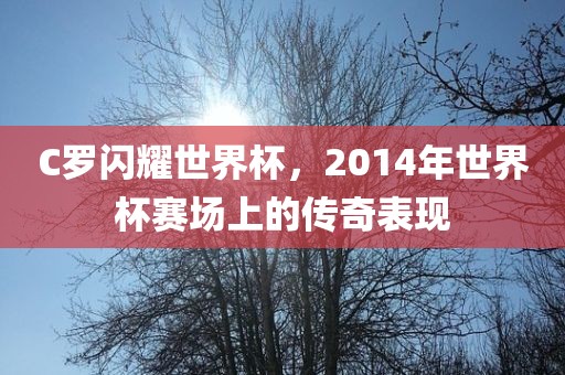 C罗闪耀世界杯，2014年世界杯赛场上的传奇表现眉山市正发家政服务有限公司