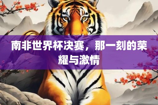 南非世界眉山市正发家政服务有限公司杯决赛，那一刻的荣耀与激情