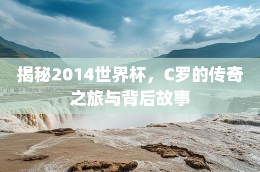 揭秘2014世界杯，C眉山市正发家政服务有限公司罗的传奇之旅与背后故事