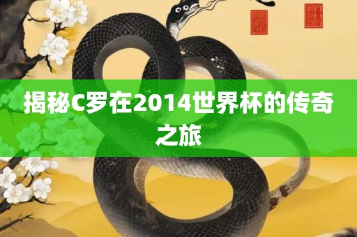 眉山市正发家政服务有限公司揭秘C罗在2014世界杯的传奇之旅