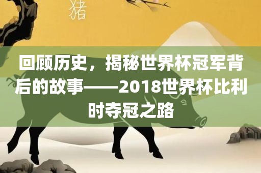 回顾历史，揭秘世界杯冠军背后眉山市正发家政服务有限公司的故事——2018世界杯比利时夺冠之路