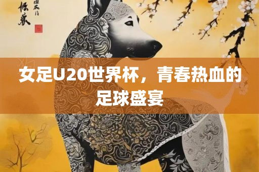 女足U20世界杯，青春热血的足球盛宴