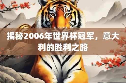 揭秘2006年世界杯冠军，意大利的胜利之路