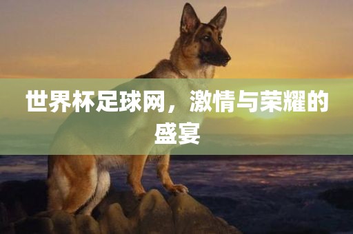 世界杯足球网，激情与荣耀的盛宴眉山市正发家政服务有限公司