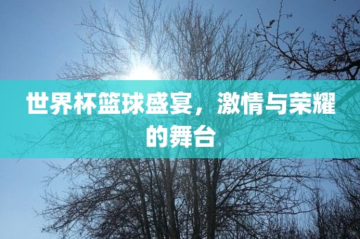 世界杯篮球盛宴，激情与荣眉山市正发家政服务有限公司耀的舞台