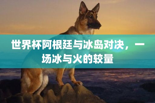 世界杯阿根廷与冰岛对决，一场冰与火的较量眉山市正发家政服务有限公司