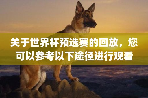 关于世界杯预选赛的回放，您可以参考以下途径进行观看