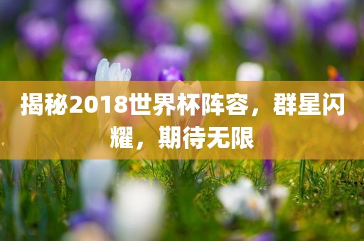 揭秘2018世界杯阵容，群星闪耀，期待无限