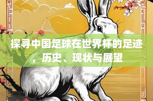 探寻中国足球在世界杯的足迹，历史、现状与展望