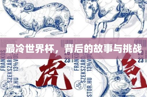最冷世界杯，背后的故事与挑战眉山市正发家政服务有限公司
