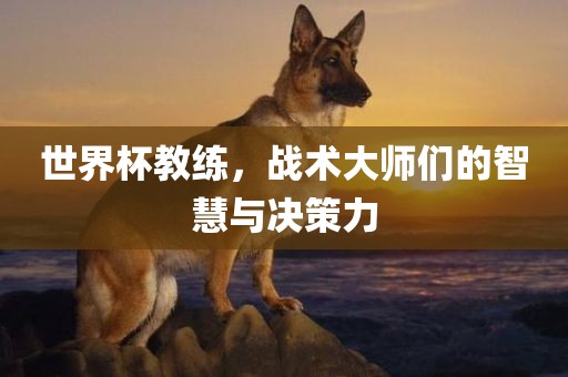 世界杯教练，战术大师们的智慧与决策力