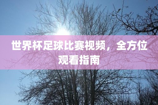 世界杯足球比赛视频，全方位观看指南眉山市正发家政服务有限公司