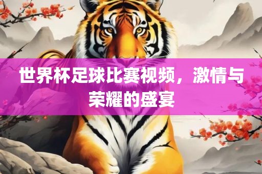 世界杯足球比赛视频，激情与荣耀的盛宴