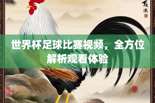 世界杯足球比赛视频，全方位解析观看体验眉山市正发家政服务有限公司