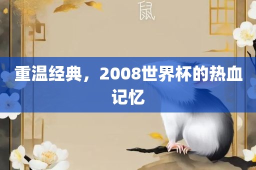 重温经典，2008世界杯的热血记忆眉山市正发家政服务有限公司