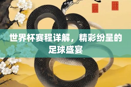 世界杯赛程详解，精彩纷呈的足球盛宴