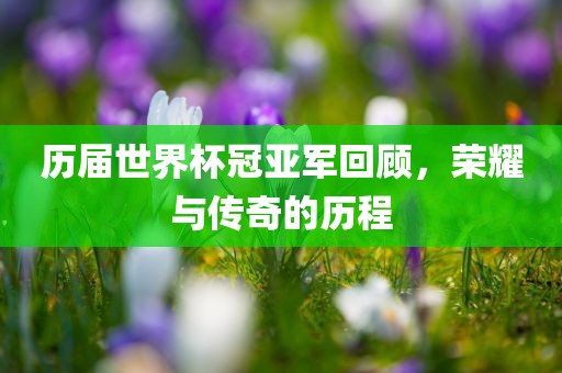 历届世界杯冠亚军回顾，荣耀与传奇的历程