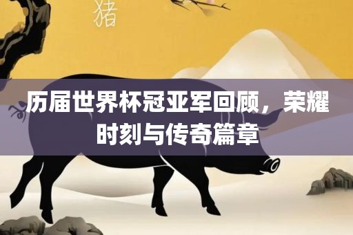 历届世界杯冠亚军回顾，荣耀时刻与传奇篇章