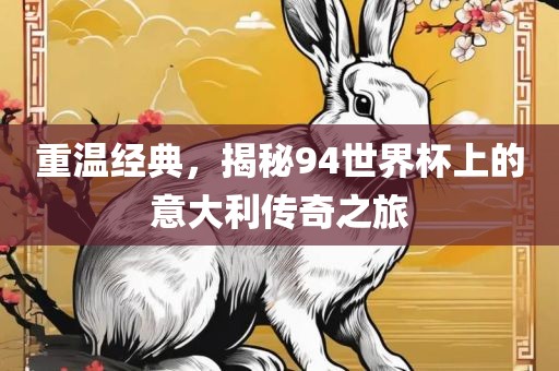 重温经典，揭秘94世界杯上的意眉山市正发家政服务有限公司大利传奇之旅