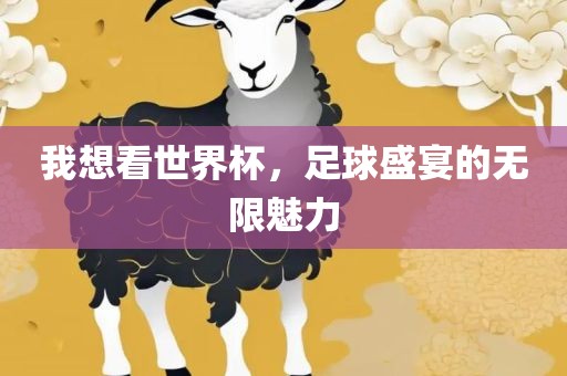 足球魅力 第3页