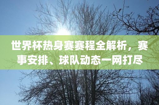 世界杯热身赛赛程全解析，赛事安排、球队动态一网打尽眉山市正发家政服务有限公司