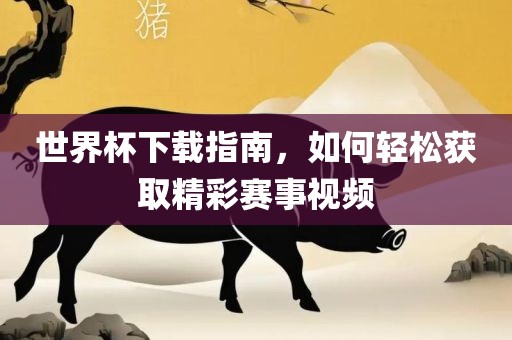 世界杯下载指南，如何轻松获取精彩赛事视频