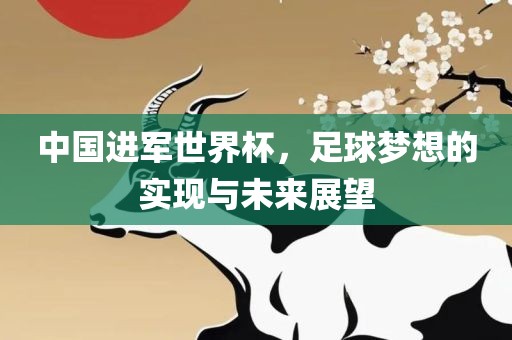 中国进军世界杯，足球梦想的实现与未来展望