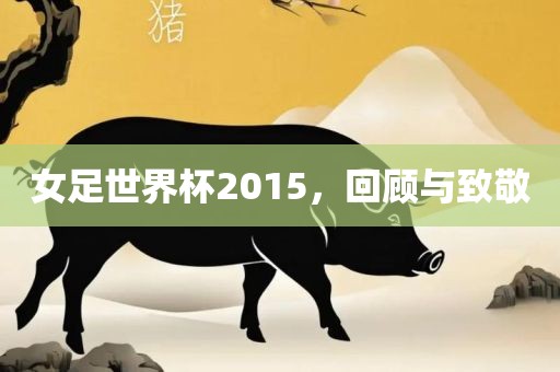 女足世界杯2015，回顾与致敬