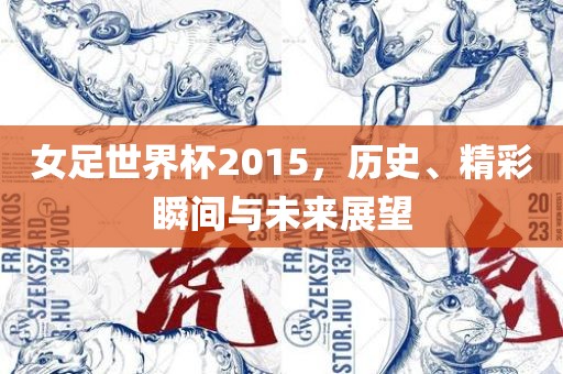 女足世界杯2015，历史、精彩瞬间与未来展望