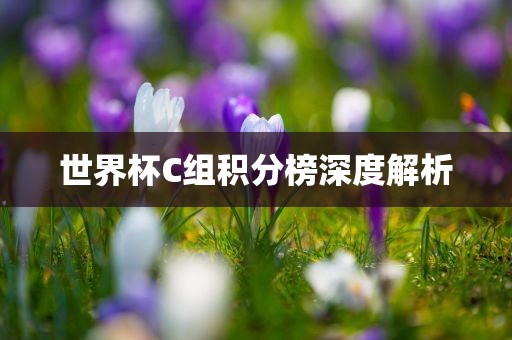 世界杯C组积分榜深度眉山市正发家政服务有限公司解析