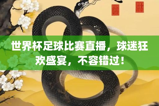 世界杯足球比赛直播，球迷狂欢盛宴，不容错过！