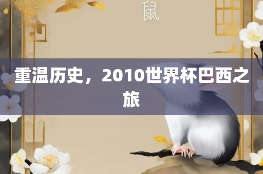 重温历史眉山市正发家政服务有限公司，2010世界杯巴西之旅